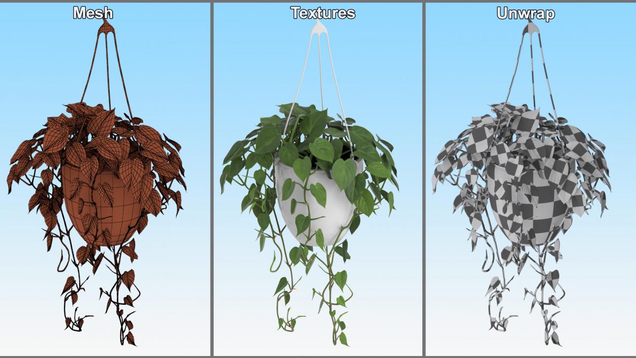 3D model Hanging Potted Plant