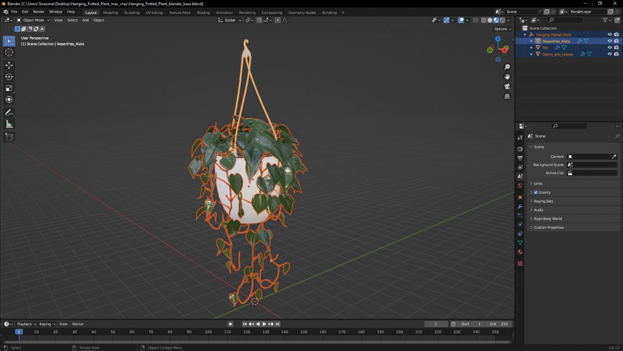 3D model Hanging Potted Plant