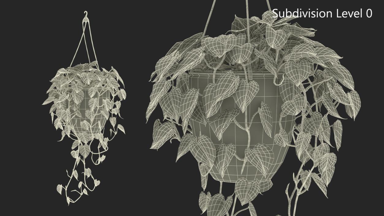 3D model Hanging Potted Plant