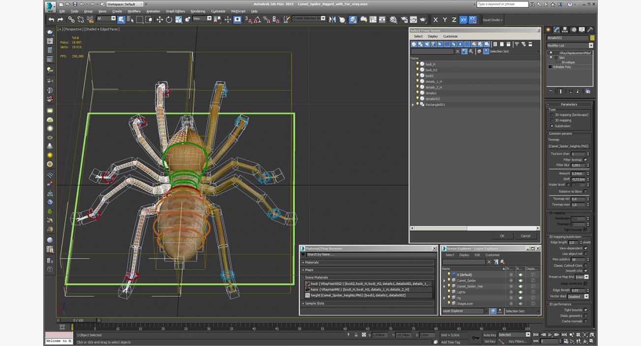 3D Camel Spider Rigged with Fur model