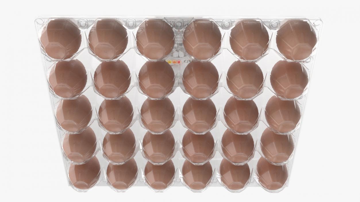 Egg Plastic Packaging with Label 3D