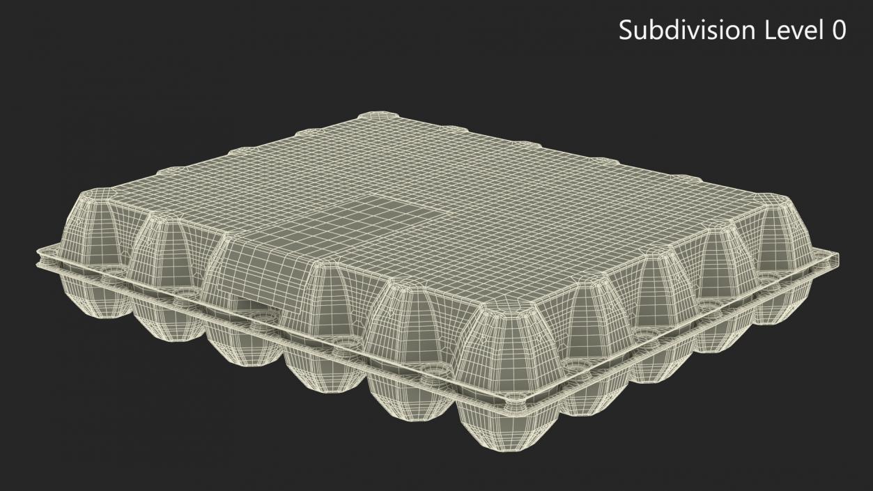 Egg Plastic Packaging with Label 3D