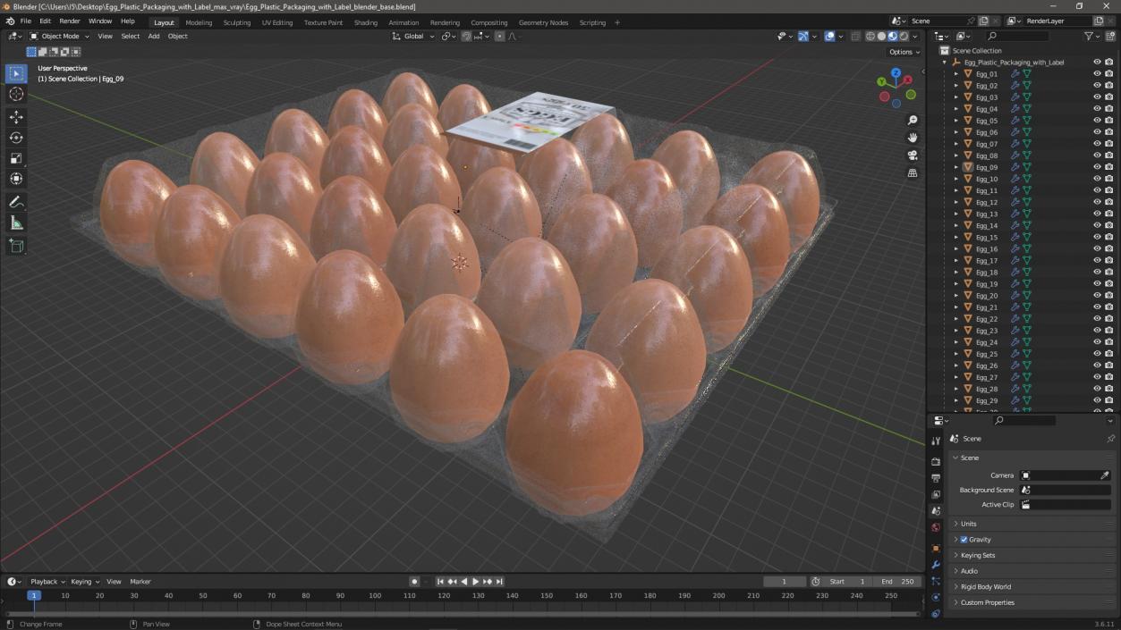 Egg Plastic Packaging with Label 3D