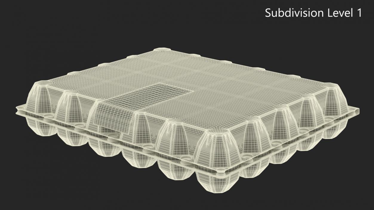 Egg Plastic Packaging with Label 3D