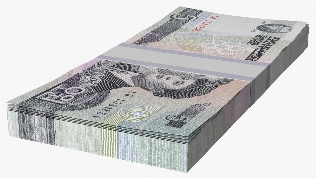 North Korea 5 Won Banknotes Bundle 3D model