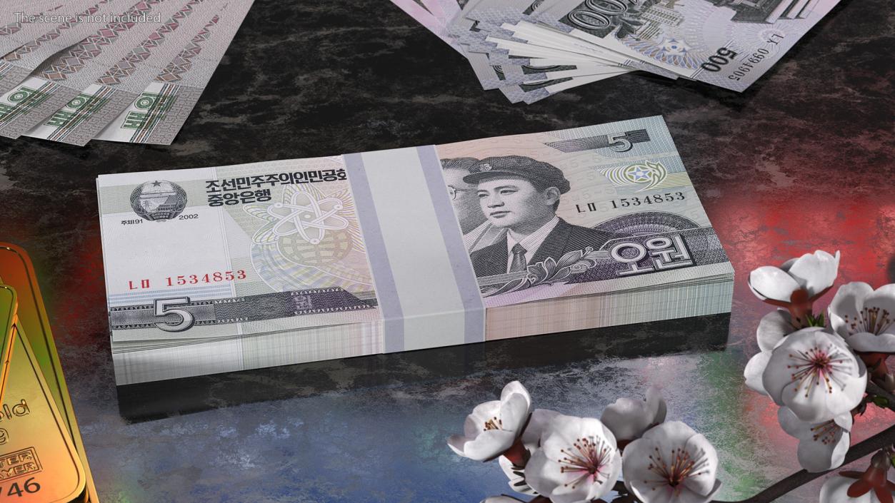 North Korea 5 Won Banknotes Bundle 3D model