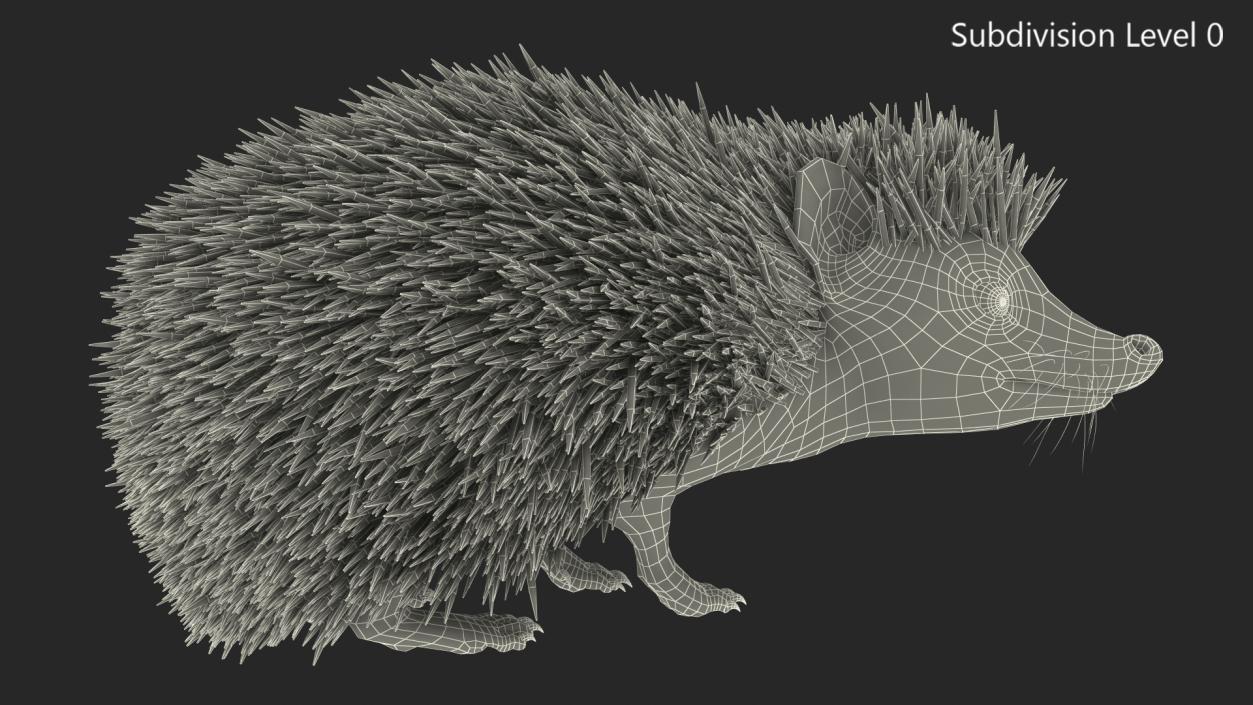 Black Hedgehog Standing Fur 3D