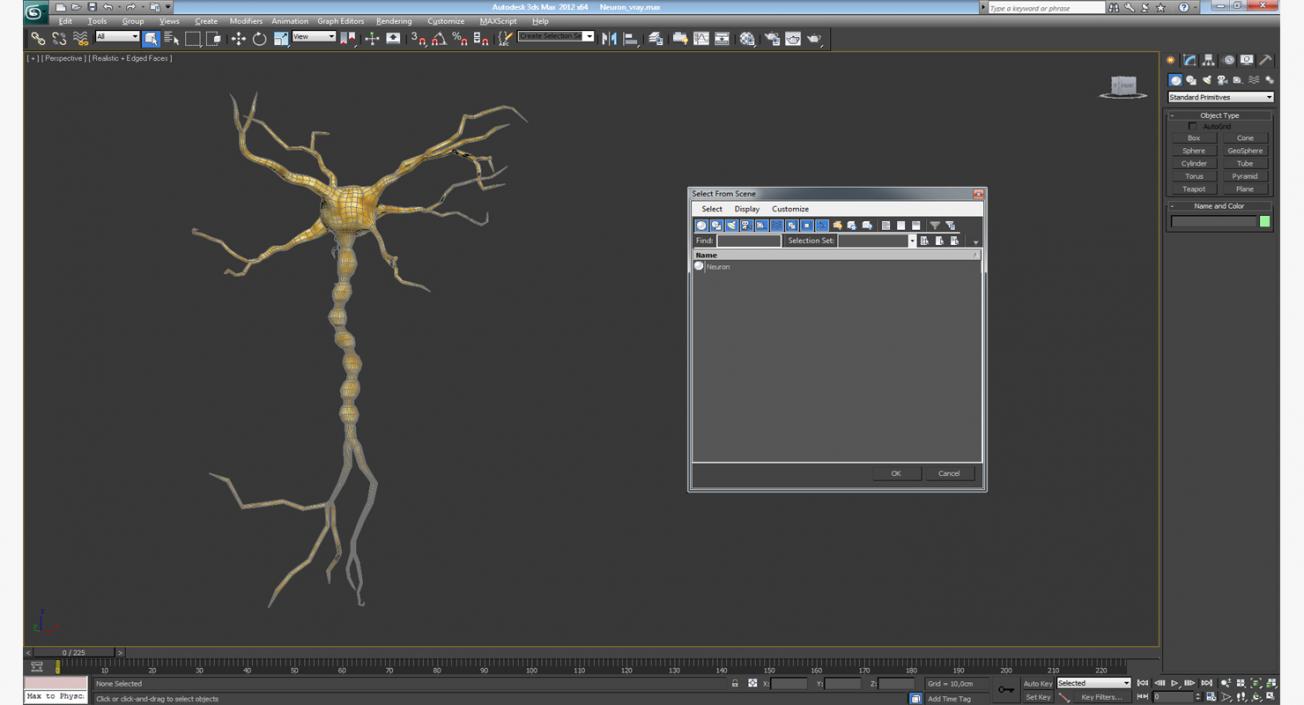 3D model Neuron