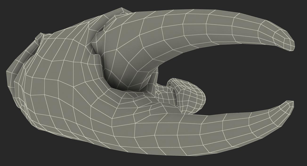 Crab Claw 3D model