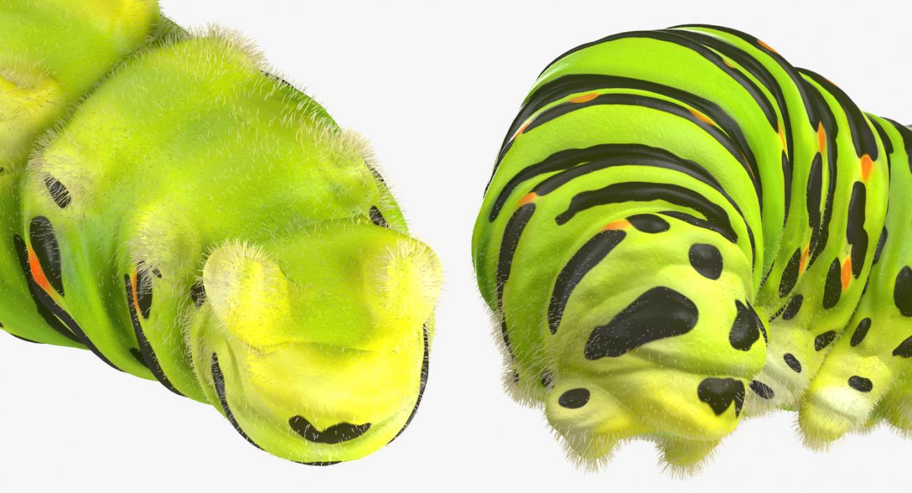 Caterpillar Pose 4 with Fur 3D