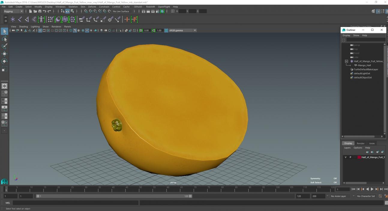 3D model Half of Mango Fuit Yellow