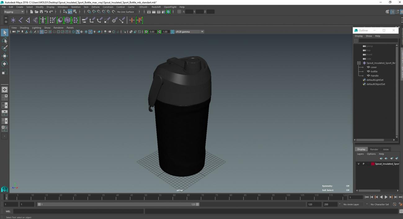 3D Spout Insulated Sport Bottle model