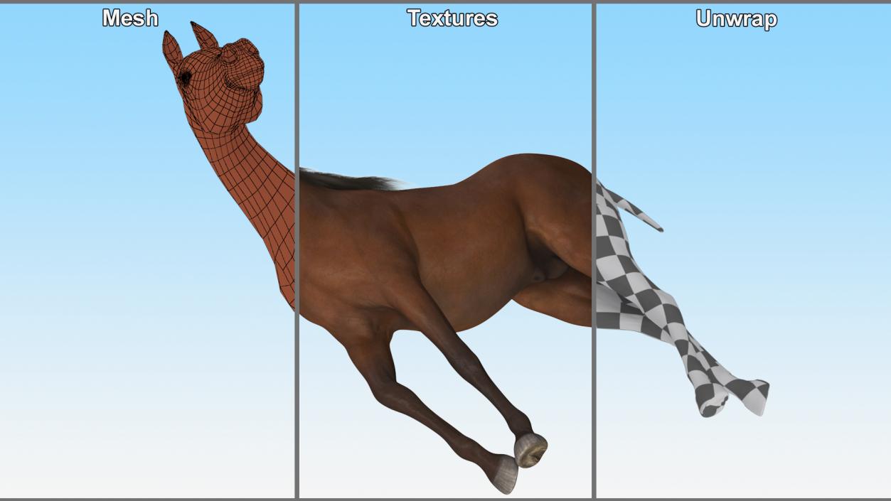 Arabian Horse Brown Stand Pose Fur 3D model