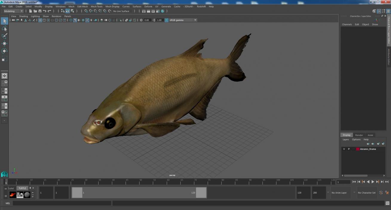 3D Abramis Brama model