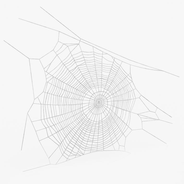 3D Round Spider Web 2 model