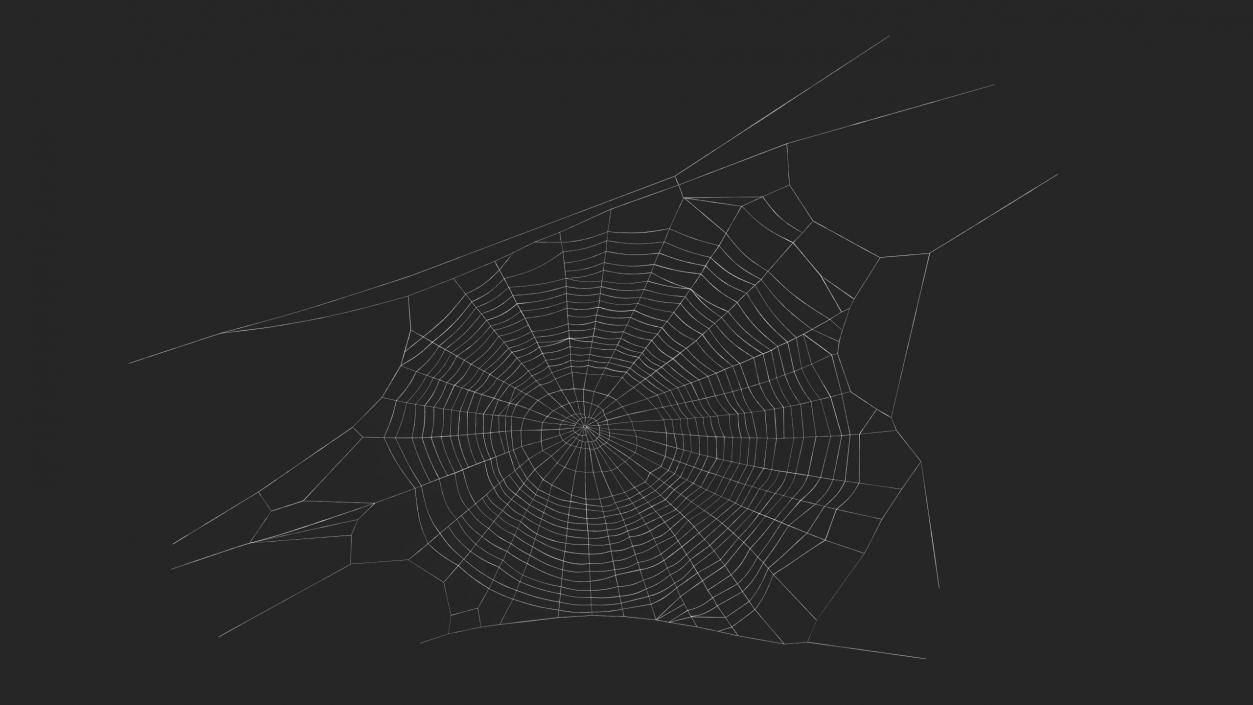 3D Round Spider Web 2 model