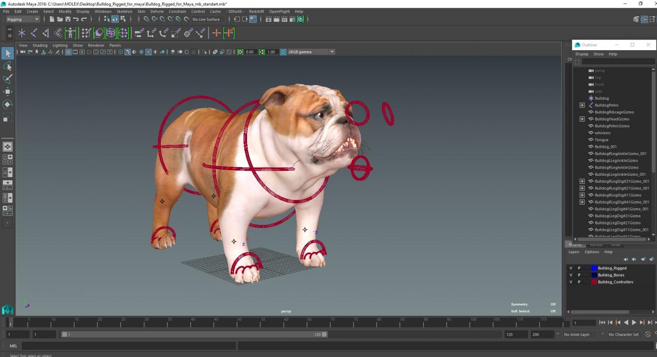 3D Bulldog Rigged for Maya model