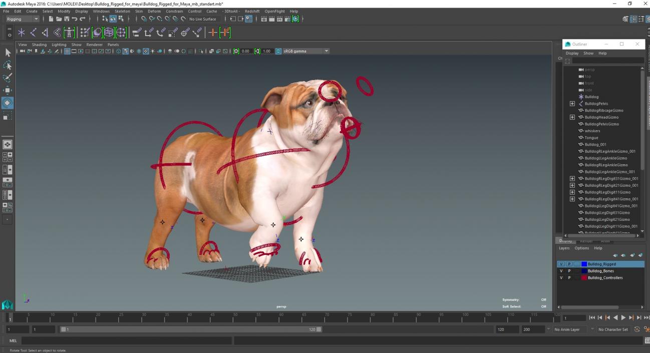 3D Bulldog Rigged for Maya model