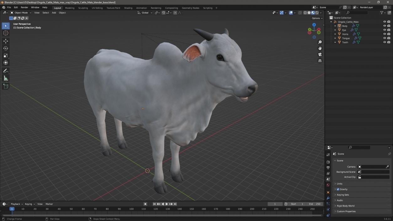 3D Ongole Cattle Male model