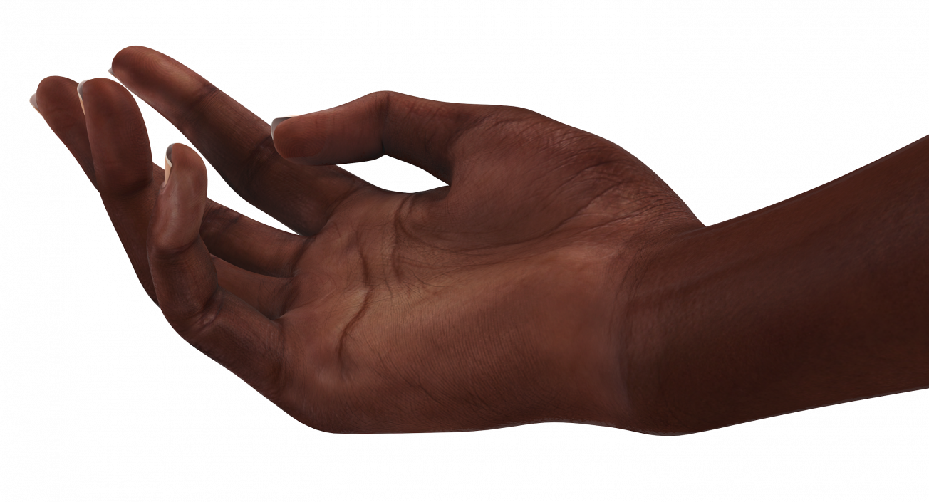 3D African Female Hand Short Nails Rigged model