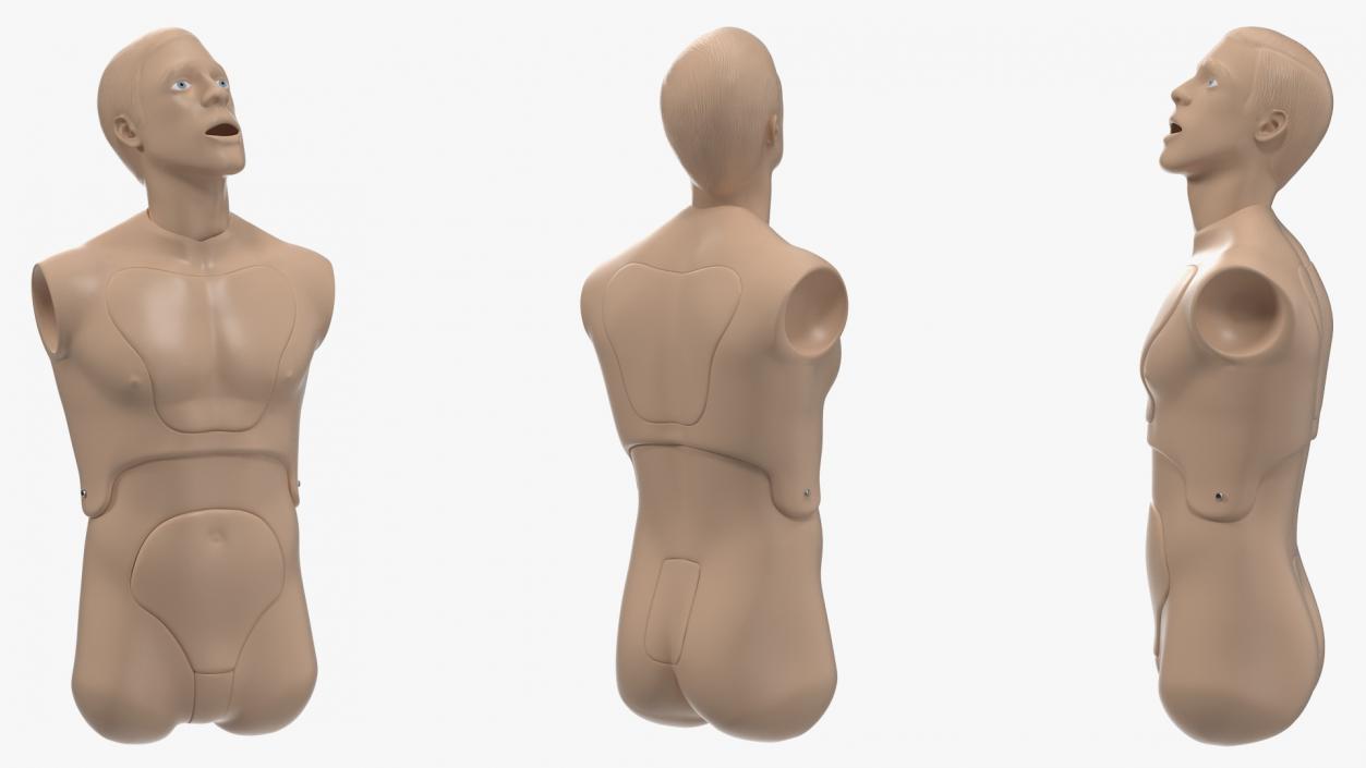 Resuscitation Manikin Torso 3D