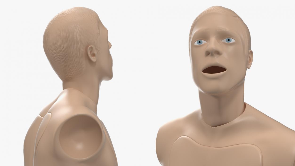 Resuscitation Manikin Torso 3D