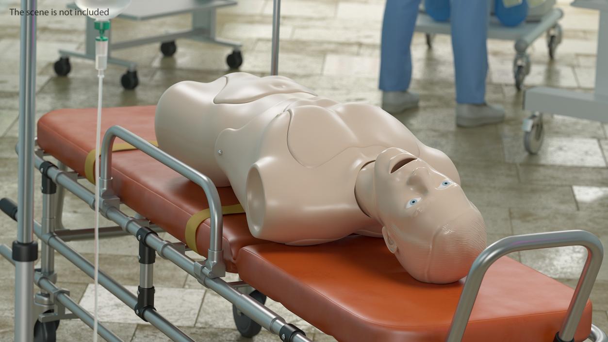 Resuscitation Manikin Torso 3D