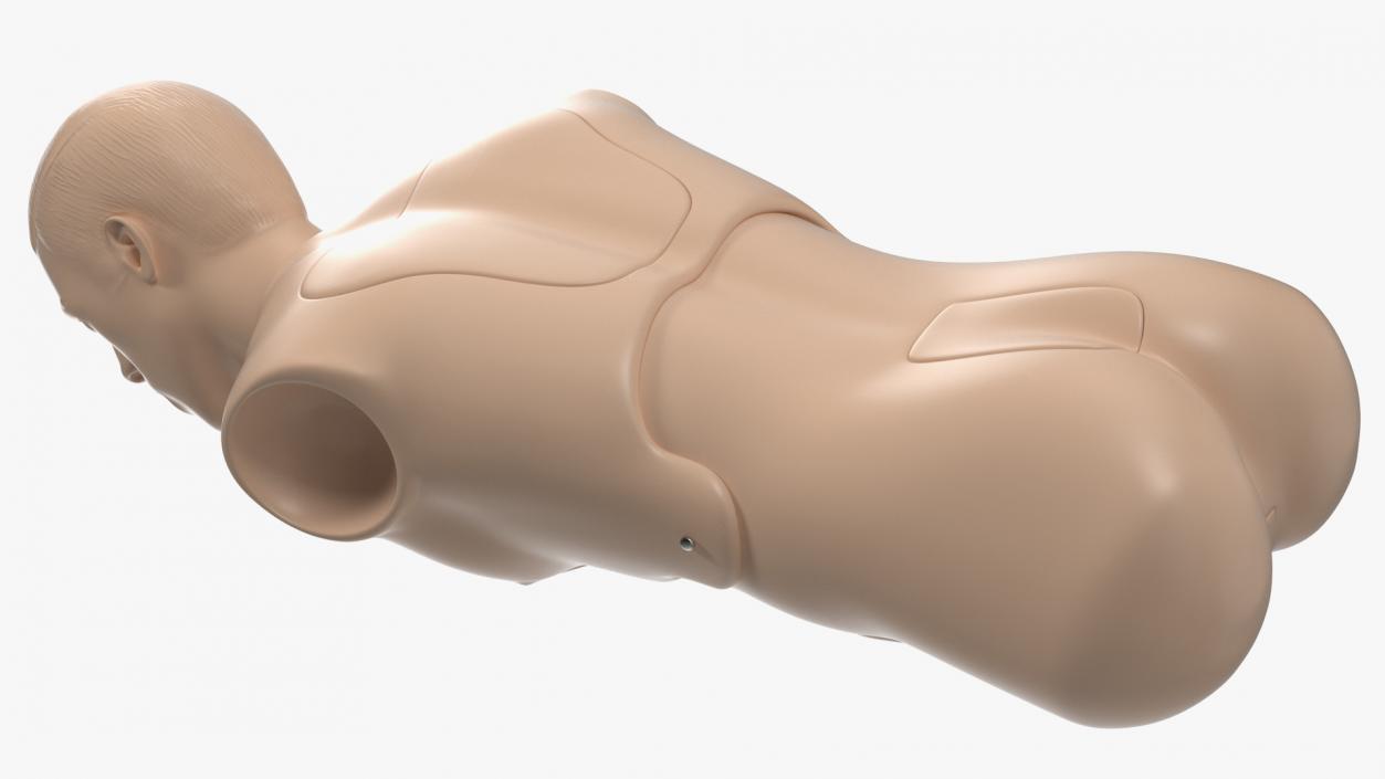 Resuscitation Manikin Torso 3D