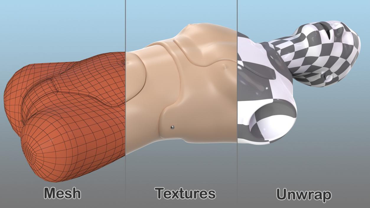 Resuscitation Manikin Torso 3D