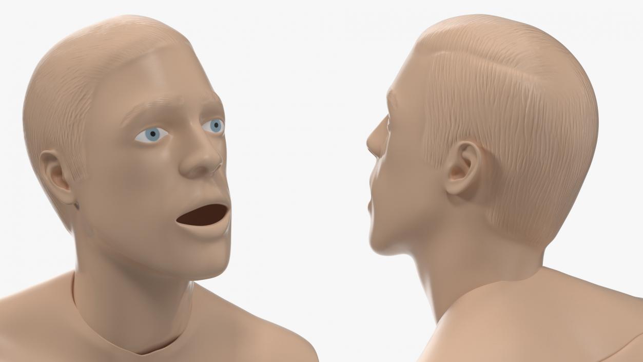 Resuscitation Manikin Torso 3D