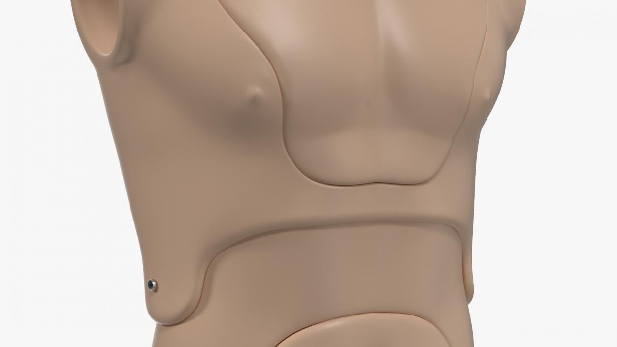 Resuscitation Manikin Torso 3D