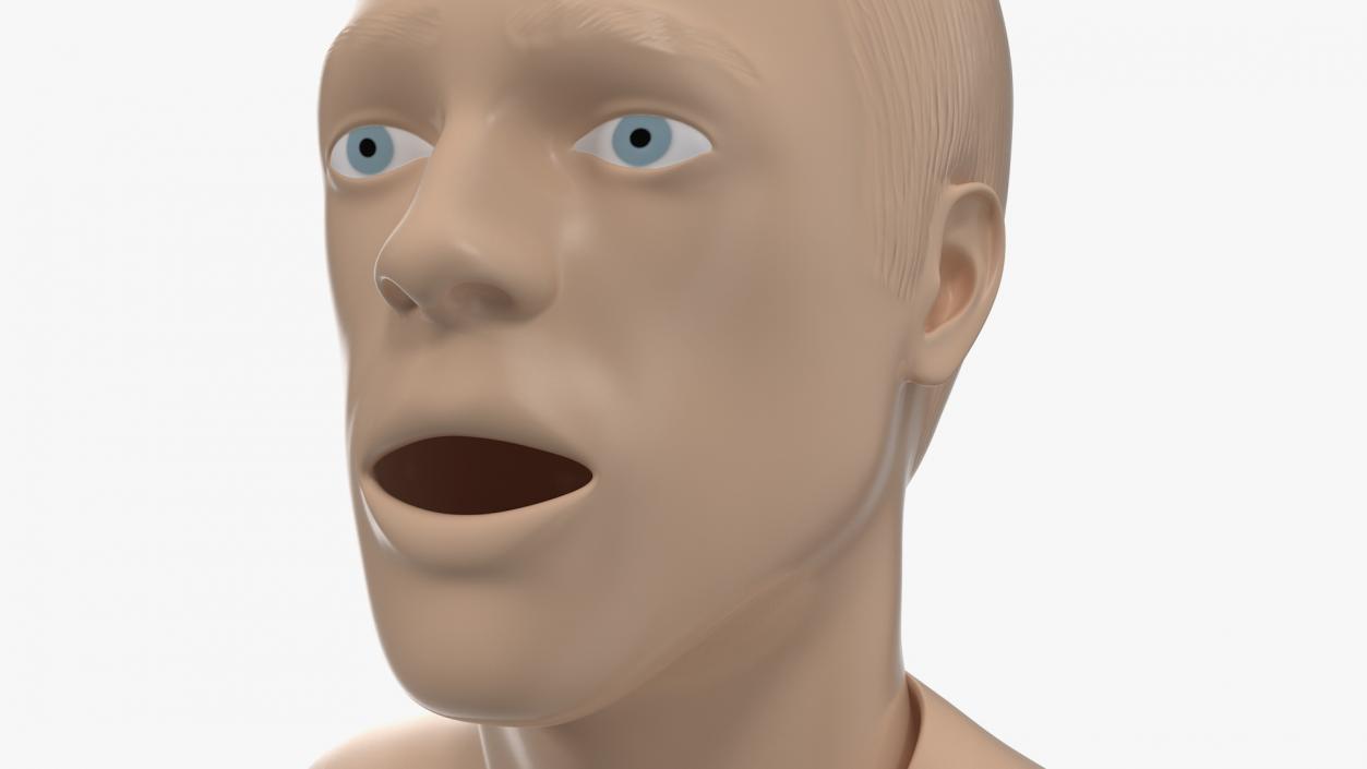 Resuscitation Manikin Torso 3D