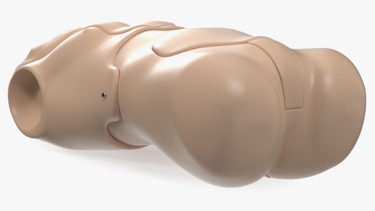 Resuscitation Manikin Torso 3D