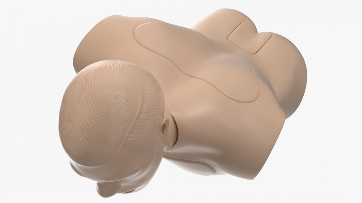 Resuscitation Manikin Torso 3D