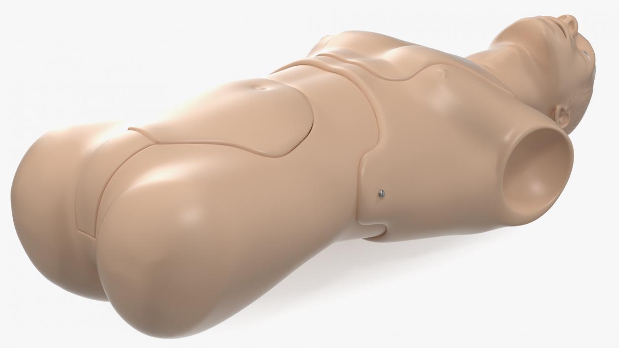 Resuscitation Manikin Torso 3D