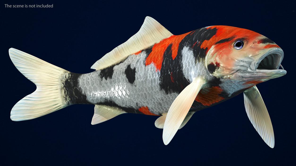 3D Harivake Koi Fish Rigged for Cinema 4D model