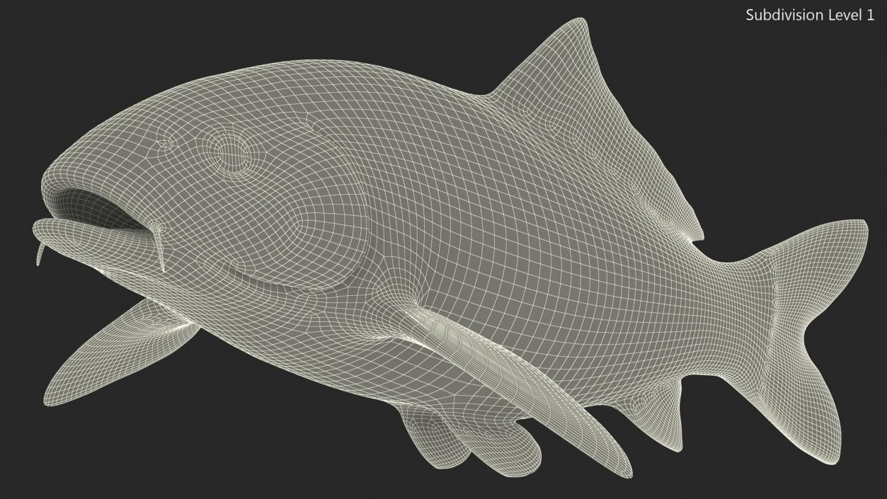 3D Harivake Koi Fish Rigged for Cinema 4D model