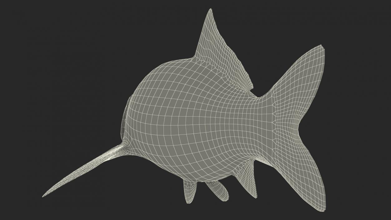 3D Harivake Koi Fish Rigged for Cinema 4D model