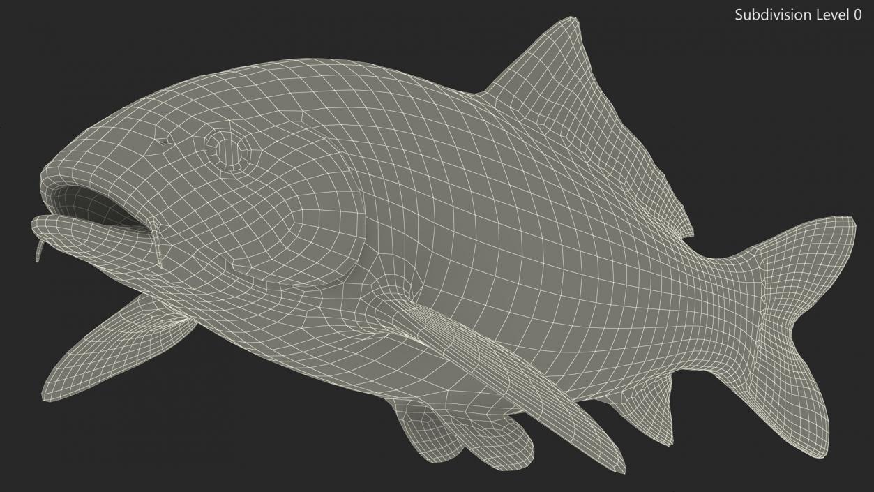 3D Harivake Koi Fish Rigged for Cinema 4D model