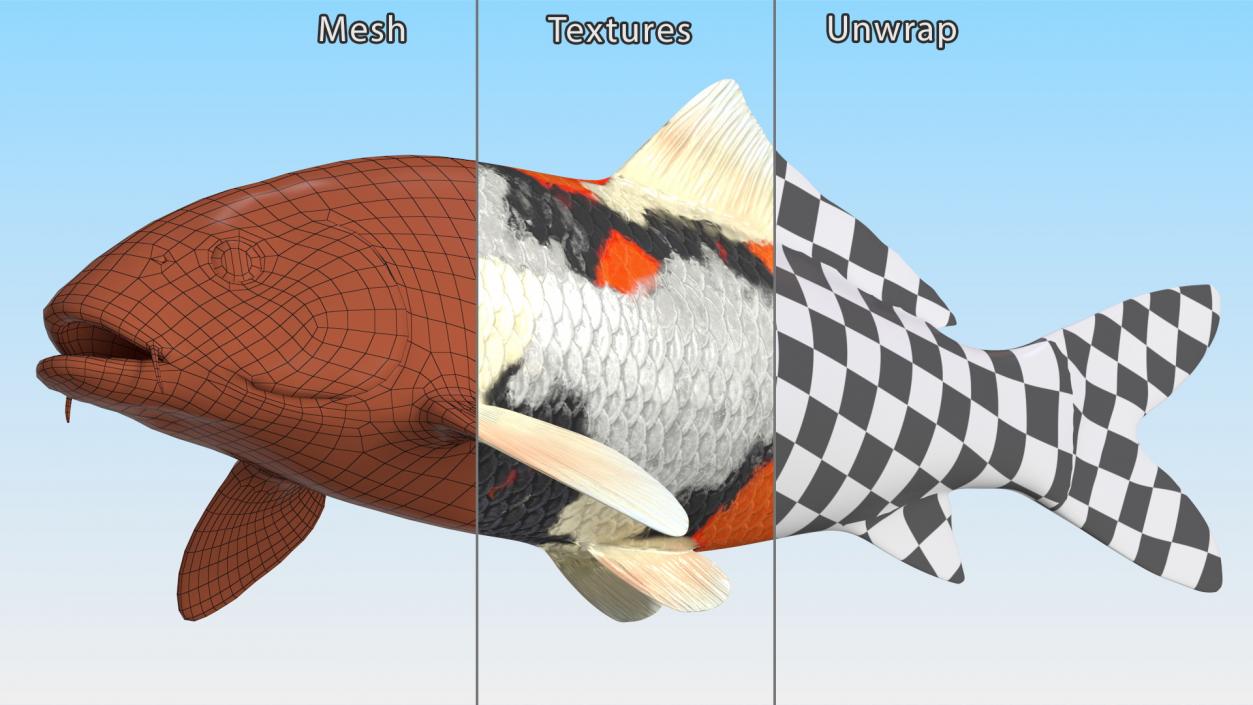 3D Harivake Koi Fish Rigged for Cinema 4D model