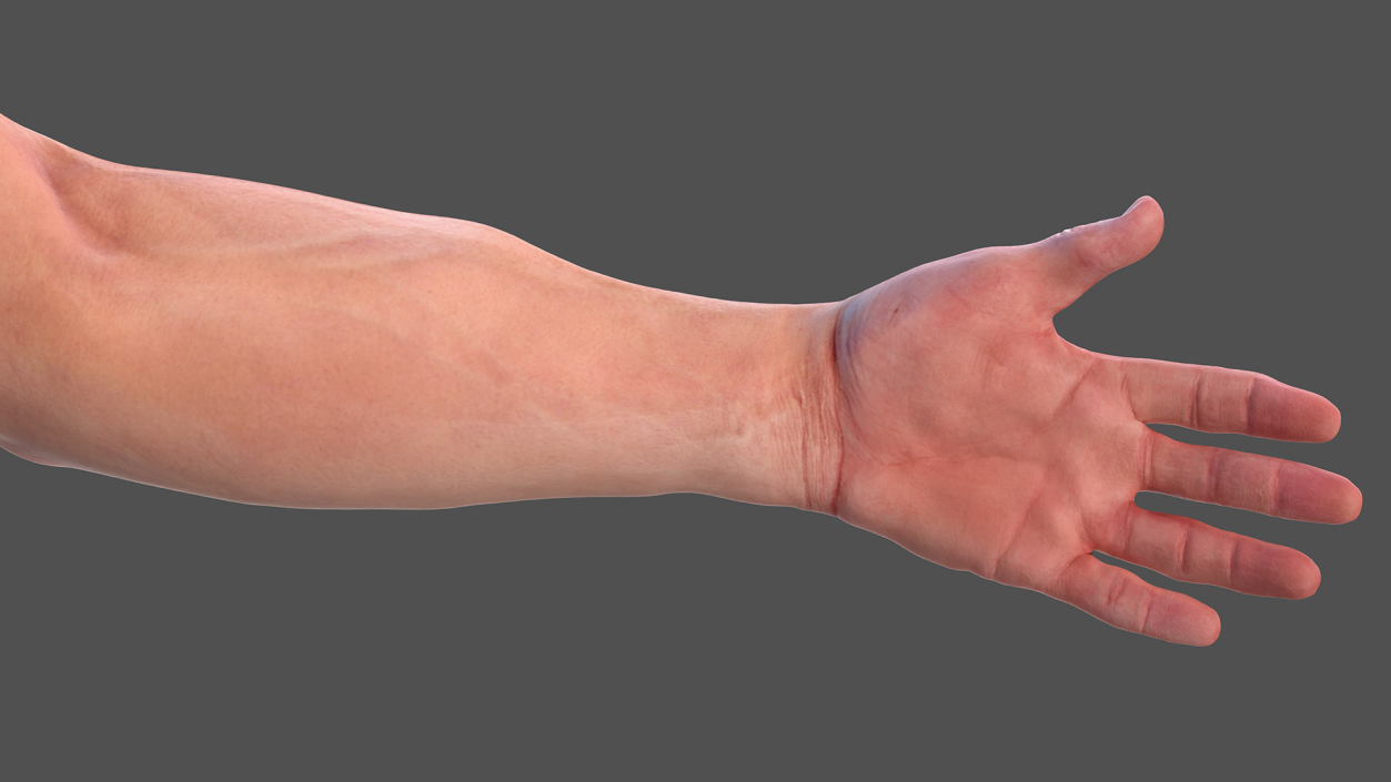 3D model Male Arm Full Anatomy and Skin