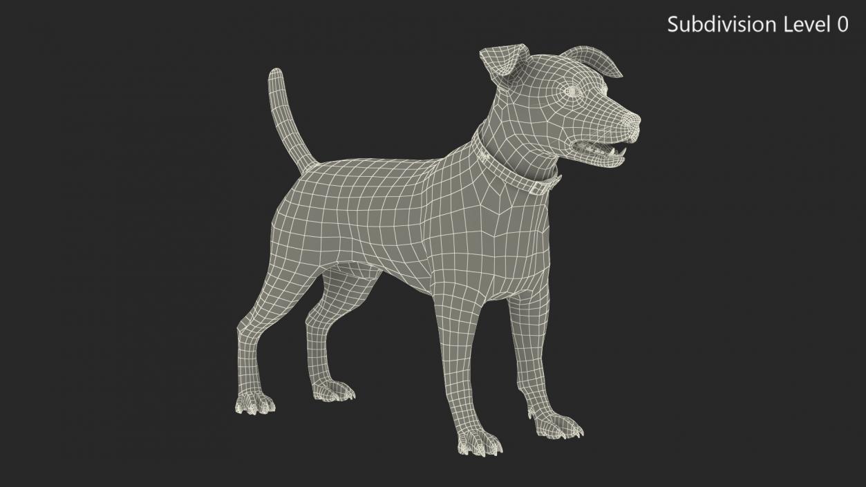 3D model Spotted Jack Russell Terrier Rigged