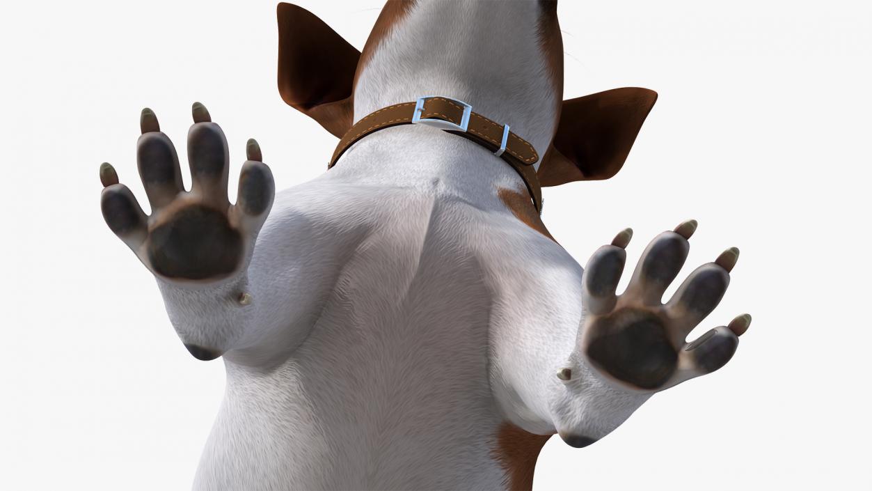 3D model Spotted Jack Russell Terrier Rigged