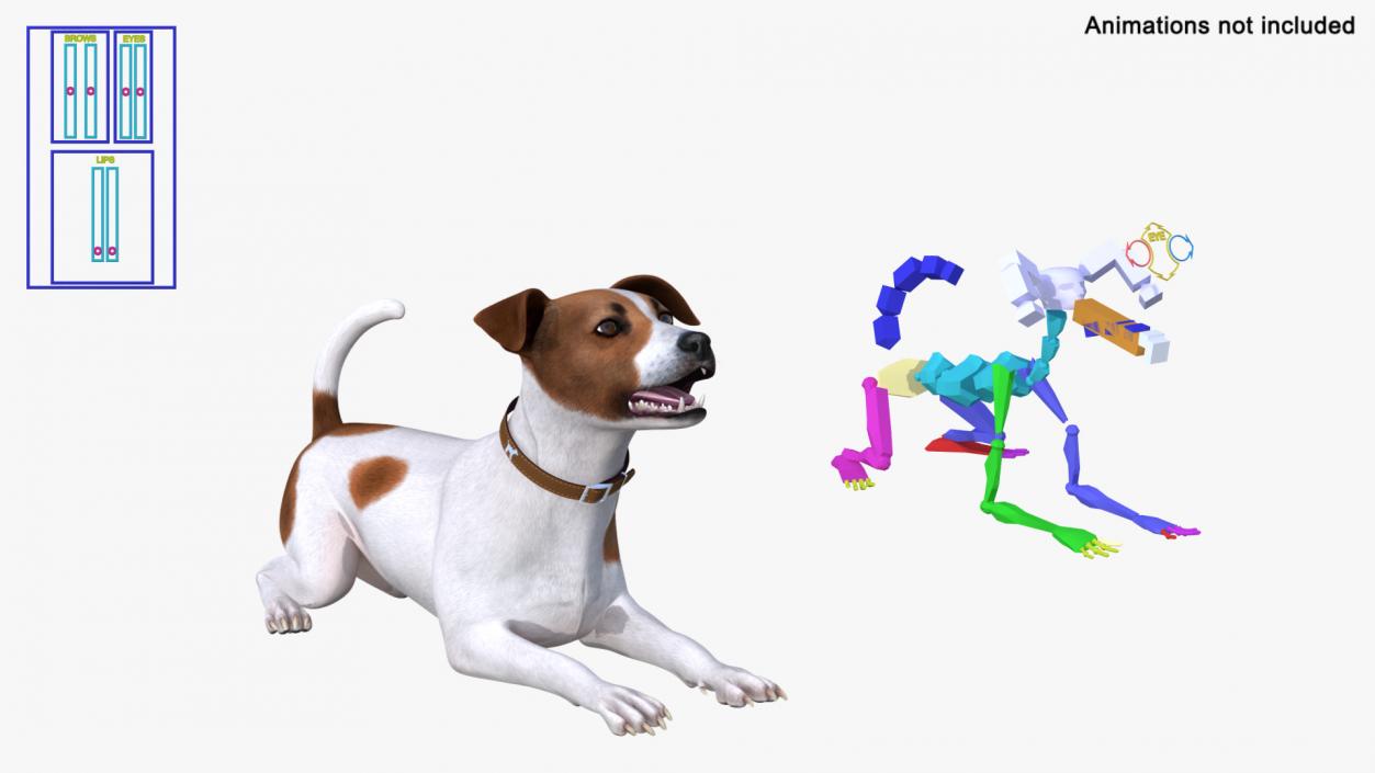 3D model Spotted Jack Russell Terrier Rigged