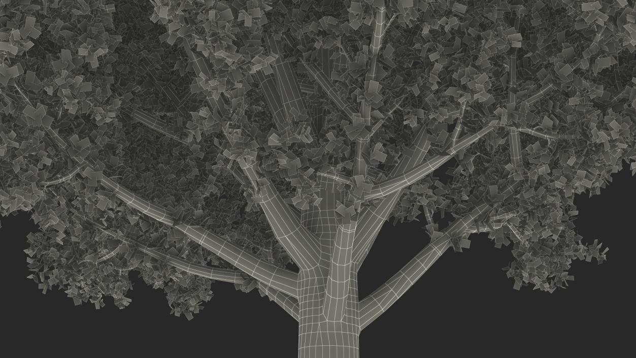 3D Realistic Oak Tree(1)