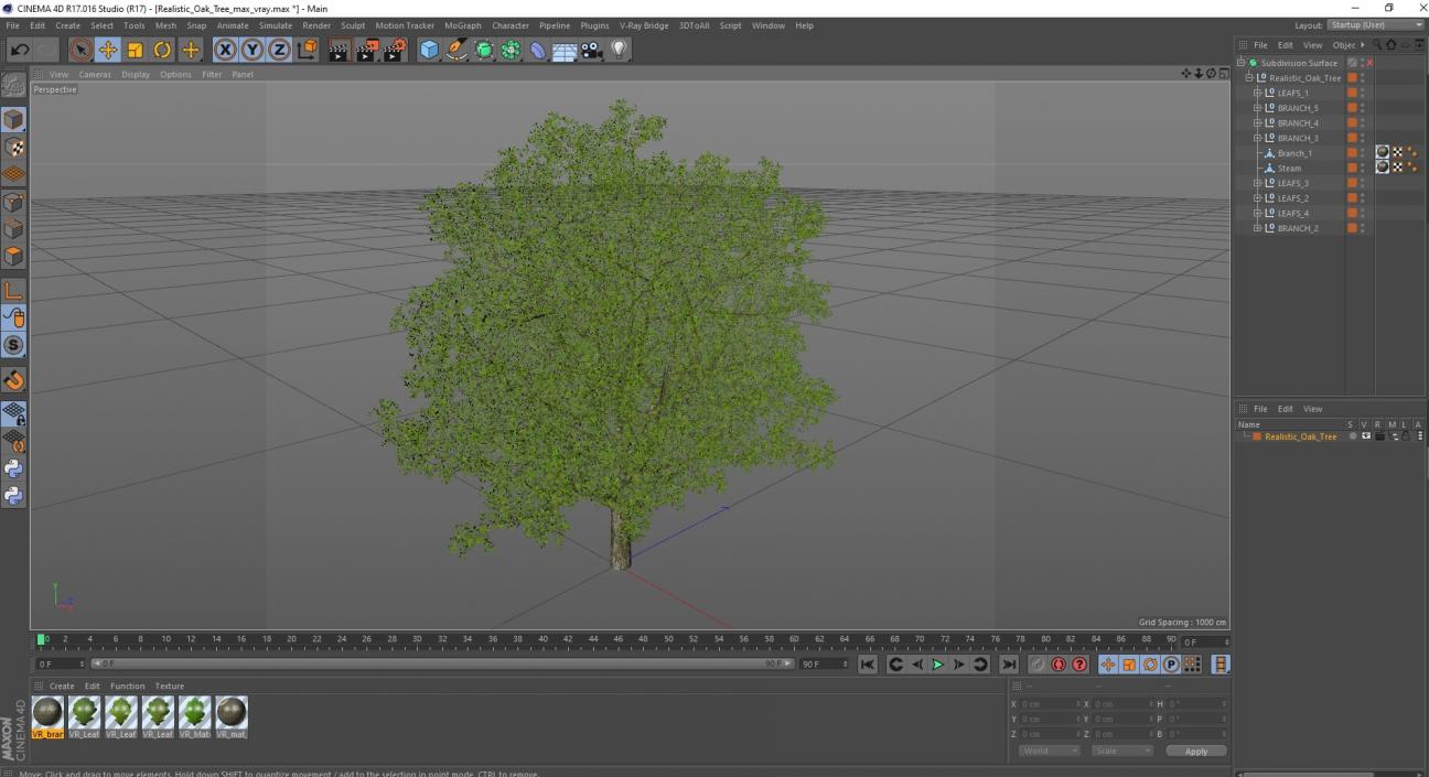 3D Realistic Oak Tree(1)