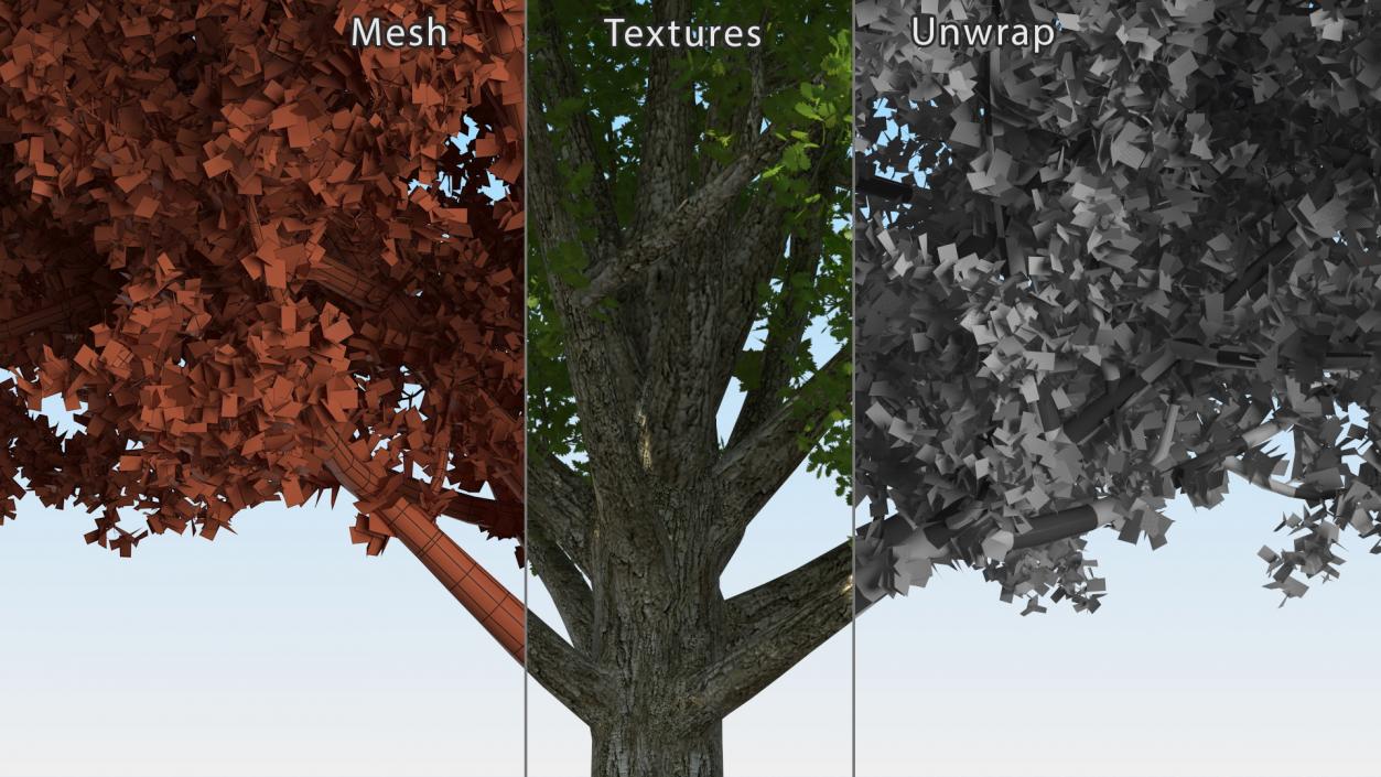 3D Realistic Oak Tree(1)