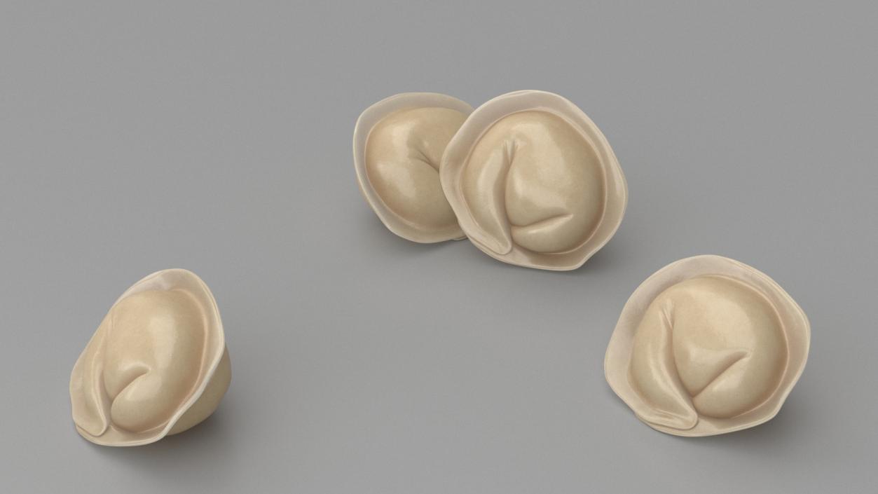 3D model ﻿Cooked Dumplings Collection 2