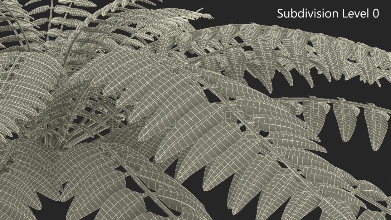 Realistic Tropical Fern Plant 3D model