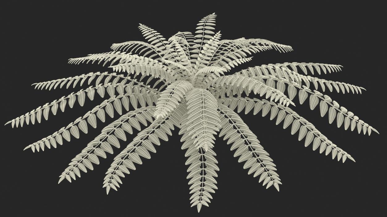 Realistic Tropical Fern Plant 3D model